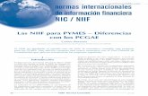 Las NIIF para PYMES – Diferencias con los PCGAE