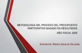 METODOLOGIA DEL PROCESO DEL PRESUPUESTO PARTICIPATIVO ...