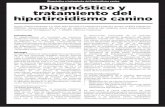 Diagnóstico y tratamiento del hipotiroidismo canino