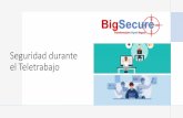 Seguridad durante el Teletrabajo - BigSecure