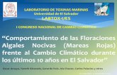 “omportamiento de las Floraciones Algales Nocivas (Mareas ...