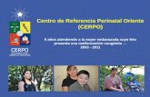 Centro de Referencia Perinatal Oriente (CERPO)