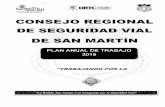 CONSEJO REGIONAL DE SEGURIDAD VIAL DE SAN MARTÍN