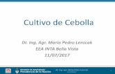Cultivo de Cebolla - repositorio.inta.gob.ar