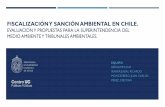 FISCALIZACIÓN Y SANCIÓN AMBIENTAL EN CHILE.