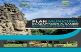 PLAN MUNICIPAL - Acicafoc