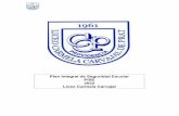 Plan Integral de Seguridad Escolar PISE 2022 Liceo Carmela ...