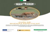 GUÍA DE BUENAS PRÁCTICAS - innotubex.es