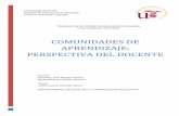 COMUNIDADES DE APRENDIZAJE: PERSPECTIVA DEL DOCENTE