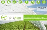 “Mobile intelligence for better crops “Inteligencia móvil ...