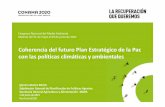 Coherencia del futuro Plan Estratégico de laPac con las ...