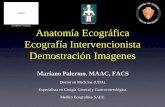 Hospital Posadas Anatomía Ecográfica Ecografía ...