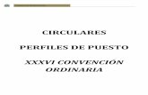 CIRCULARES PERFILES DE PUESTO - STRM