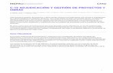 C-15 ADJUDICACION Y GESTION DE PROYECTOS Y OBRAS
