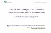 Guía Itinerario Formativo de Endocrinología y Nutrición