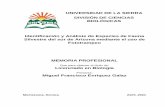 UNIVERSIDAD DE LA SIERRA DIVISIÓN DE CIENCIAS BIOLÓGICAS ...