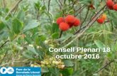 Consell Plenari 18 octubre 2016 - parcs.diba.cat