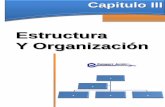 Estructura Y Organización