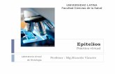 Práctica virtual - lls.ulatina.edu.pa