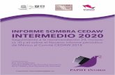 IN FORME SOMBRA CEDAW INTERMEDIO 2020 - Cátedra Unesco de ...