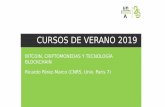 CURSOS DE VERANO 2019 - webusers.imj-prg.fr