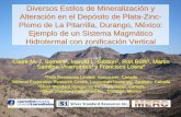 Diversos Diversos Estilos Estilos de Mineralización y ...