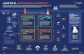 ¿QUÉ ES EL MICROBIOMA OCEÁNICO?