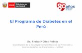 El Programa de Diabetes en el Perú