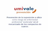 Prevención de la exposición a sílice como ... - gva.es