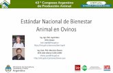 Estándar Nacional de Bienestar Animal en Ovinos