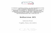 Informe 03 V.01 - Sistema Local de Información Ambiental