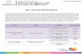 OE2.- CEDULAS PROFESIONALES