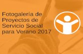 Fotogalería de Proyectos de Servicio Social para Verano 2017