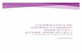 COOPERATIVA DE AHORRO Y CRÉDITO ANDE N°1 R.L. (COOPE …