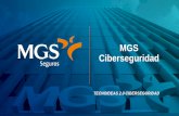 MGS Ciberseguridad