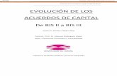 EVOLUCIÓN DE LOS ACUERDOS DE CAPITAL
