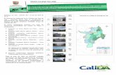 Boletín Mensual de Calidad del Aire de Santiago de Cali ...