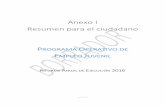 Anexo I Resumen para el ciudadano PROGRAMA OPERATIVO DE