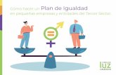 Cómo hacer un Plan de Igualdad en pequeñas empresas y ...