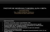 Factor de Necrosis Tumoral Alfa y Beta