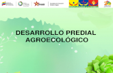 DESARROLLO PREDIAL AGROECOLÓGICO. ¿QUE ES EL DESARROLLO PREDIAL AGROECOLÓGICO?. Entendemos el Desarrollo Predial Agroecológico como un proceso de planificación,