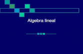 Algebra lineal. Temario Matemticas I Programa: Algebra de matrices 1.1 Matrices 1.2 Matrices especiales 1.3 Operaciones con matrices 1.4 Matrices por