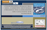 Programa Maestro Camaron final 2009.pdf
