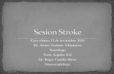 Sesion Stroke