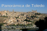 Panormica de Toledo
