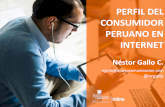 Internet en el Perú 2013 - 2014