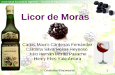Exposicion Licor Mora