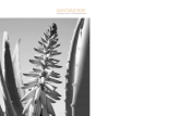 Santaverde katalog spanisch 2006
