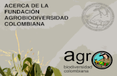 Fundaci³n Agrobiodiversidad Colombiana