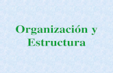 Organizaci³n y Estructura. REESTRUCTURAR = REORGANIZAR ORGANIZACI“N = ESTRUCTURA